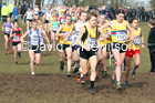 Senior women, 2020 British Athletics Inter Counties Cross Country Champs., Prestwold Hall, Loughborough. Photo: David T. Hewitson/Sports for All Pics